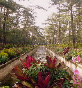 Wright Park, Baguio Philippines